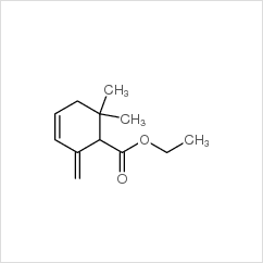 6,6-二甲基-2-亞甲基-3-環己烯-1-羧酸乙酯|35044-58-7 