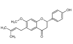 甲基補骨脂黃酮A|19879-30-2 
