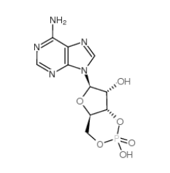 腺苷環磷酸酯|60-92-4 