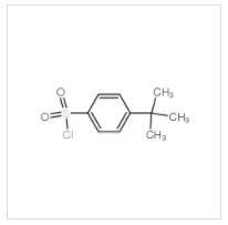 對叔丁基苯磺酰氯|15084-51-2 