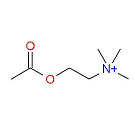  羥乙基三甲基銨醋酸鹽 | 14586-35-7 