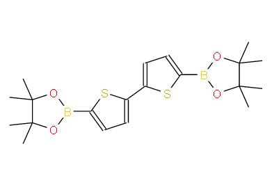 2,2'-二噻吩-5,5'-二硼酸二頻哪醇酯 | 239075-02-6