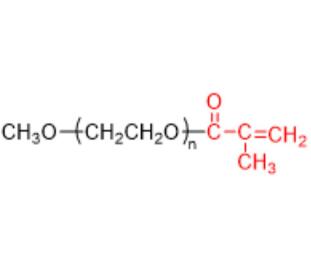 甲氧基聚乙二醇甲基丙烯酸酯,甲氧基PEG甲基丙烯酸酯,mPEG-MeAc,MPEG-MA 
