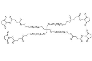 四臂聚乙二醇琥珀酰亞胺丁二酸酯,四臂PEG琥珀酰亞胺丁二酸酯4Arm-PEG-SS 