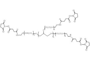 八臂聚乙二醇琥珀酰亞胺酰胺丁二酸酯,八臂PEG琥珀酰亞胺酰胺丁二酸酯8Arm-PEG-SAS 