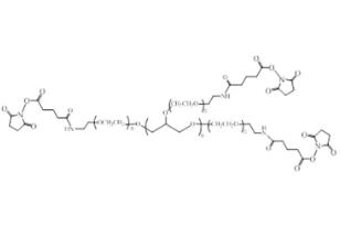 八臂聚乙二醇琥珀酰亞胺酰胺戊二酸酯,八臂PEG琥珀酰亞胺酰胺戊二酸酯8Arm-PEG-GAS 