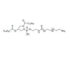 十四酰磷脂酰乙醇胺聚乙二醇氨基,十四酰磷脂酰乙醇胺PEG氨基DMPE PEG Amine, DMPE-PEG-NH2 