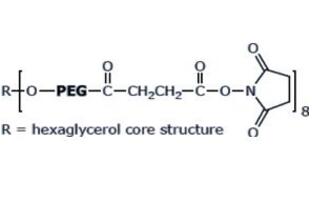 八臂聚乙二醇琥珀酰亞胺丁二酸酯,八臂PEG琥珀酰亞胺丁二酸酯8Arm-PEG-SS 