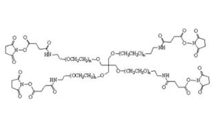 四臂聚乙二醇琥珀酰亞胺酰胺丁二酸酯,四臂PEG琥珀酰亞胺酰胺丁二酸酯4Arm-PEG-SAS 