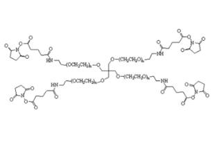 四臂聚乙二醇琥珀酰亞胺酰胺戊二酸酯,四臂PEG琥珀酰亞胺酰胺戊二酸酯4Arm-PEG-GAS 