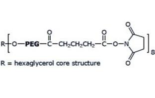 八臂聚乙二醇琥珀酰亞胺戊二酸酯,八臂PEG琥珀酰亞胺戊二酸酯8Arm-PEG-SG 