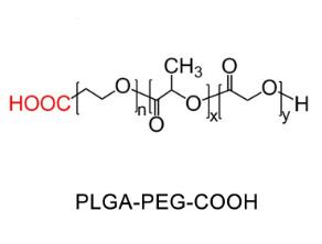 聚乳酸-羥基乙酸共聚物聚乙二醇羧基，聚乳酸-羥基乙酸共聚物PEG羧基PLGA-PEG-COOH 
