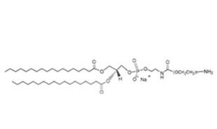膽固醇聚乙二醇氨基，膽固醇PEG氨基Cholesterol-PEG-Amine，CLS-PEG-NH2 
