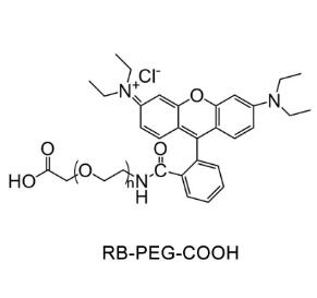 羅丹明聚乙二醇羧基，羅丹明PEG羧基Rhodamine PEG Acid, RB-PEG-COOH 