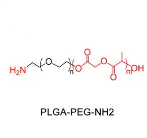 聚乳酸-羥基乙酸共聚物聚乙二醇氨基，聚乳酸-羥基乙酸共聚物PEG氨基PLGA-PEG-NH2，PLGA-PEG-Amine 