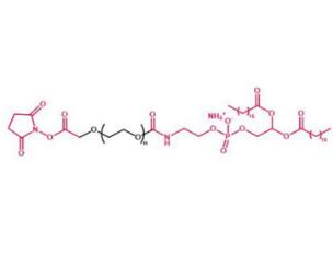 二硬脂酰磷脂酰乙酰胺PEG活性酯DSPE PEG NHS, DSPE-PEG-SCM，二硬脂酰磷脂酰乙酰胺聚乙二醇活性酯 