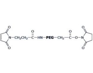 活性酯PEG馬來酰亞胺NHS-PEG-Maleimide，SCM-PEG-MAL；活性酯聚乙二醇馬來酰亞胺 