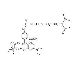 羅丹明PEG馬來酰亞胺Rhodamine PEG Maleimide, RB-PEG-MAL,;羅丹明聚乙二醇馬來酰亞胺 