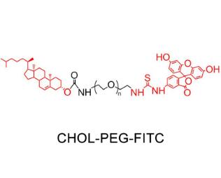 熒光素PEG膽固醇FITC-PEG-Cholesterol，FITC-PEG-CLS,熒光素聚乙二醇膽固醇 