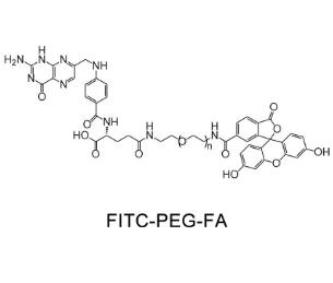 熒光素PEG葉酸FITC-PEG-Folic acid，FITC-PEG-FA,熒光素聚乙二醇葉酸 