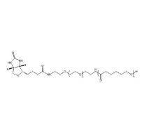 聚己內酯PEG生物素PCL-PEG-BIOTIN，PCL-PEG-BIOTIN,聚己內酯聚乙二醇生物素 