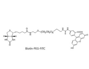 熒光素PEG生物素Fluorescein PEG BIOTIN, FITC-PEG-BIOTIN,熒光素聚乙二醇生物素 