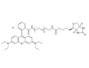 羅丹明PEG生物素Rhodamine PEG BIOTIN, RB-PEG-BIOTIN,羅丹明聚乙二醇生物素 
