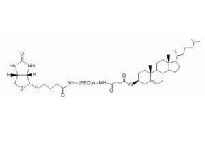 膽固醇PEG生物素Cholesterol-PEG-BIOTIN，CLS-PEG-BIOTIN,膽固醇聚乙二醇生物素 