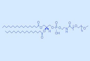 DSPE-PEG2000,二硬脂酰基磷脂酰乙醇胺甲氧基聚乙二醇 
